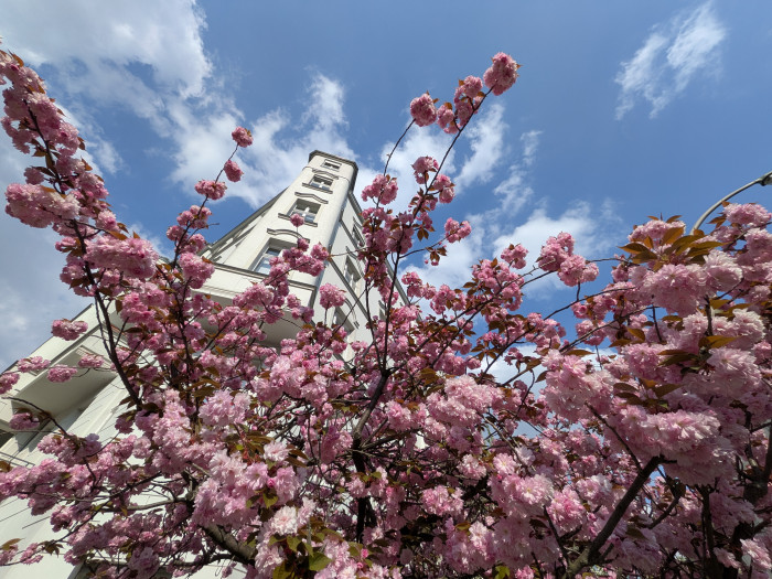 Die Belichtung der Superweitwinkelaufnahmen beim Pixel 9a entspricht der der Aufnahmen mit der Hauptkamera. (Bild: Tobias Költzsch/Golem.de)